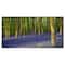 Designart - Bluebell Woods in Oxfordshire - Landscape Canvas Art Print
